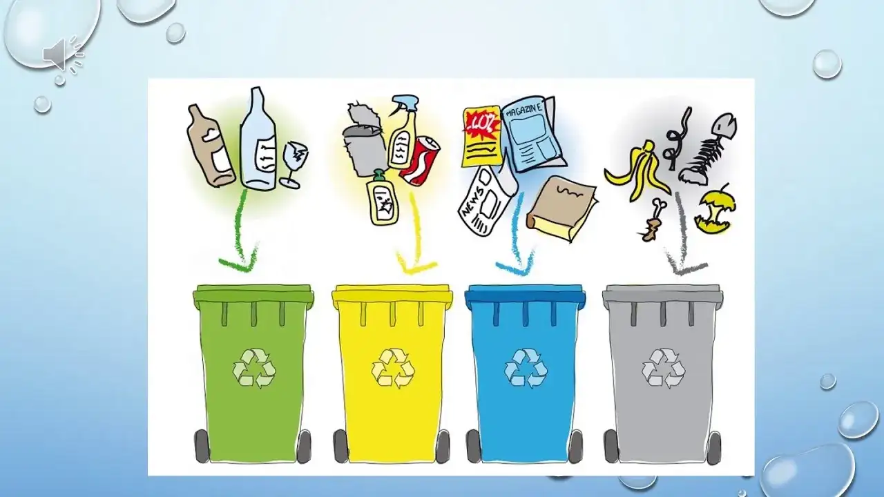 Jak przygotować prezentację o ekologii: przykładowy plan i wskazówki