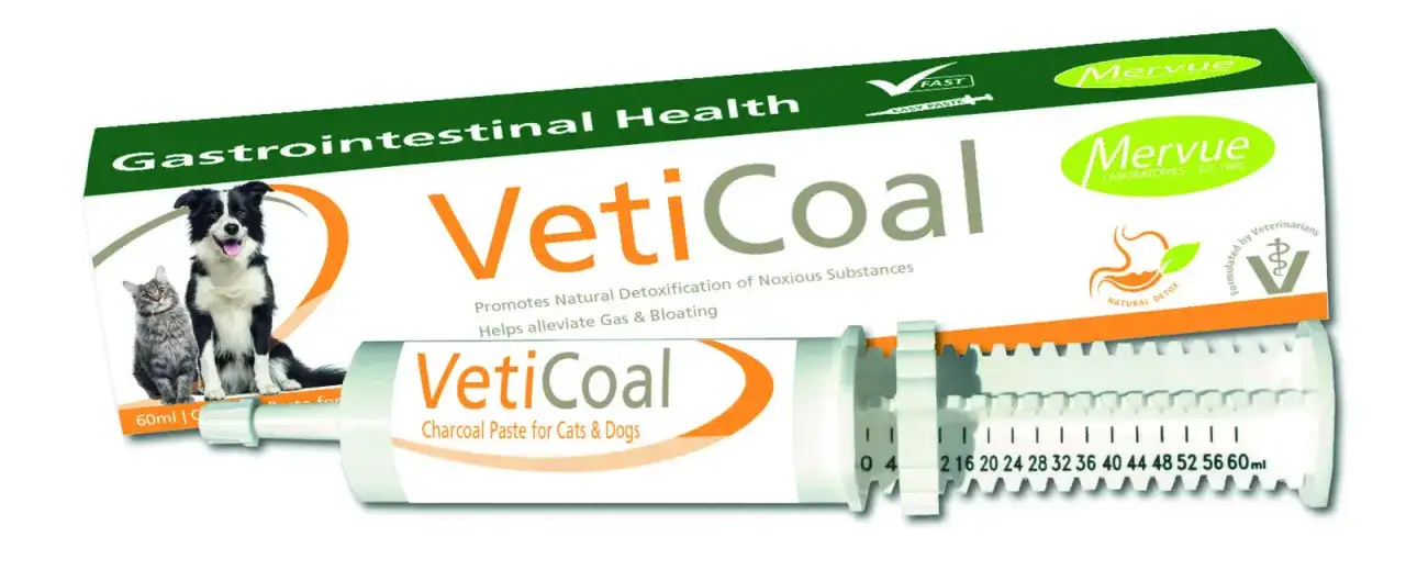 Ile węgla dla psa? Bezpieczne dawkowanie i pierwsza pomoc