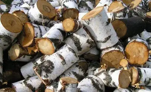 Jak długo schnie brzoza do kominka? Kluczowe czynniki i porady.