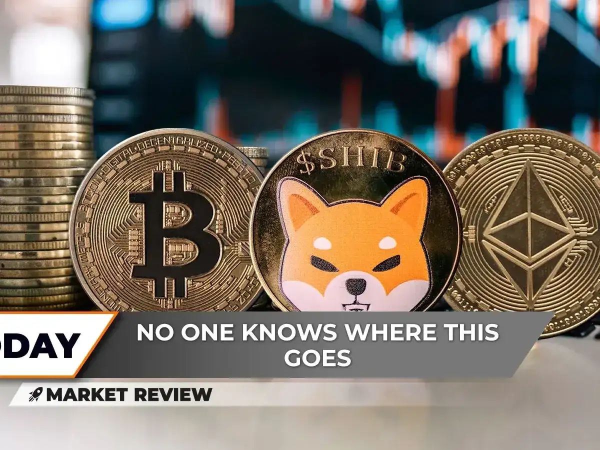 Kryptowaluta Shiba Coin: Analiza kryptowaluty Shiba Coin