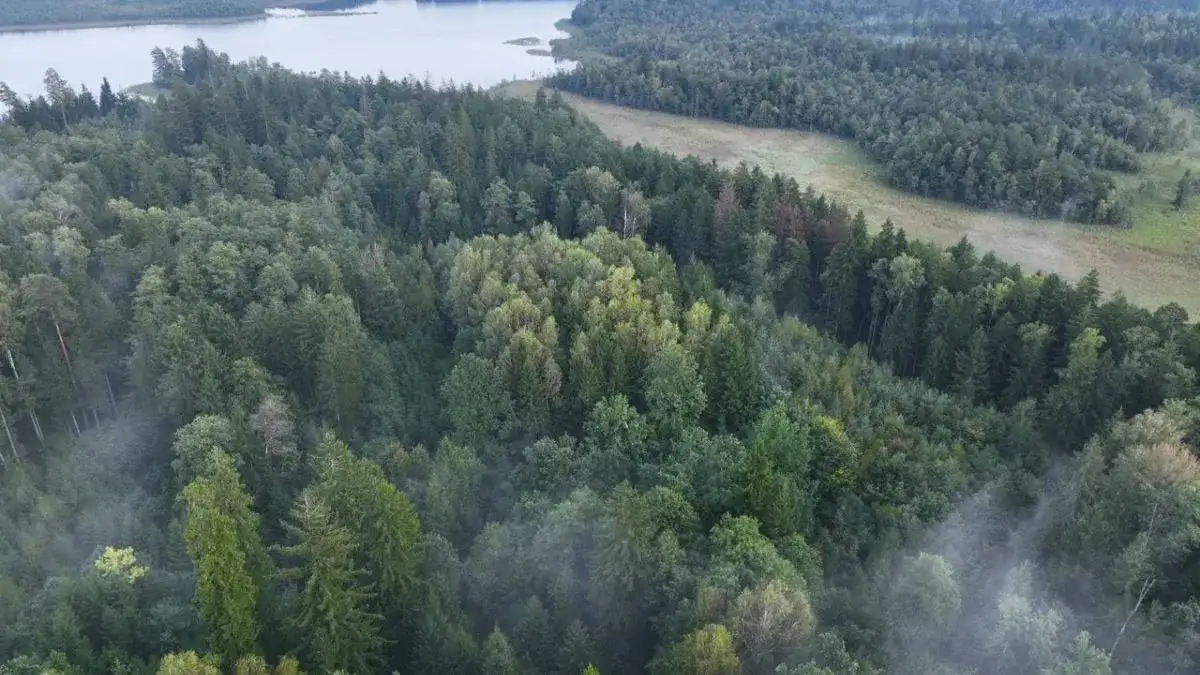 Najpopularniejsze rezerwaty przyrody w Polsce, które musisz odwiedzić