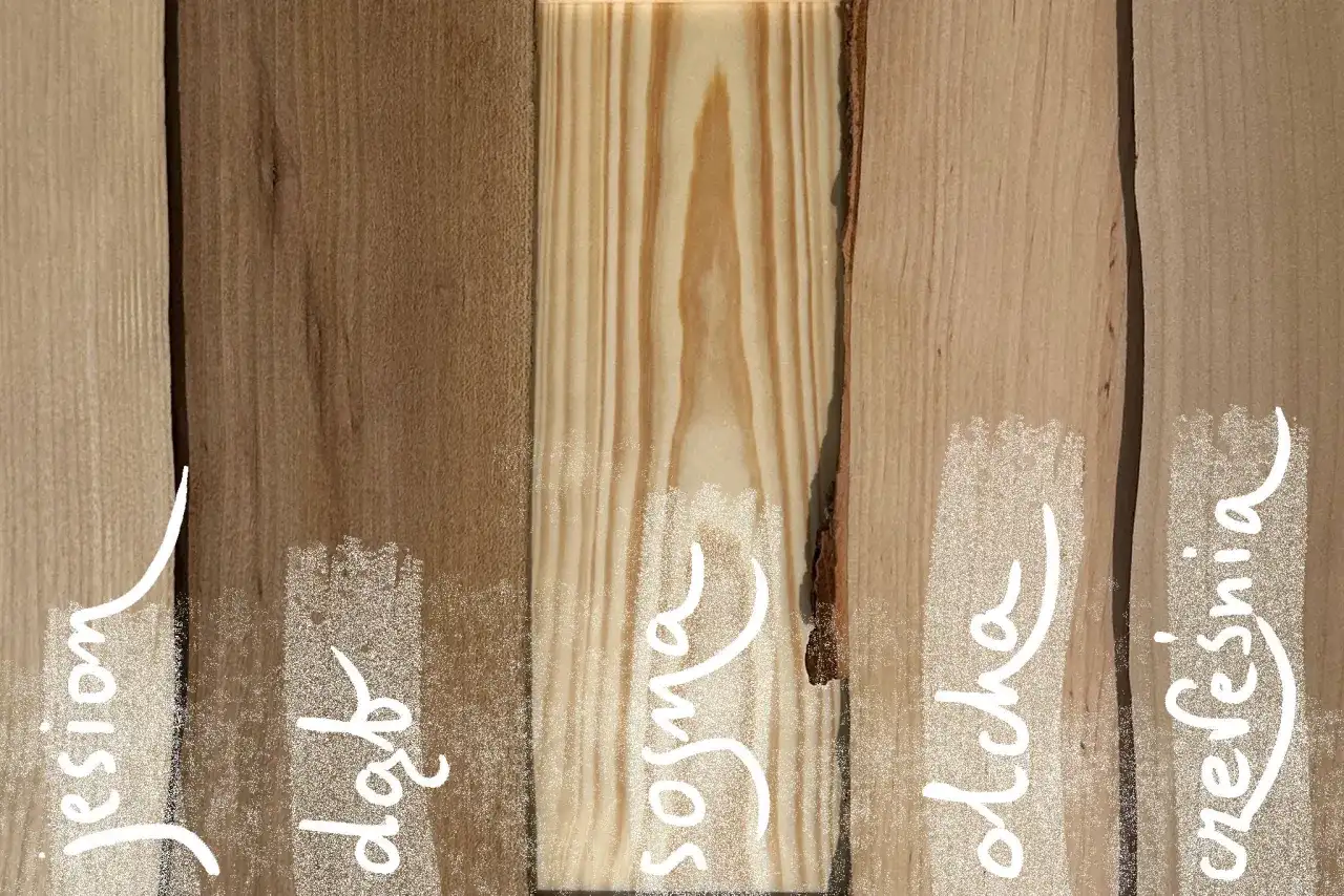 Jakie drewno na meble wybrać, aby uniknąć kosztownych błędów?