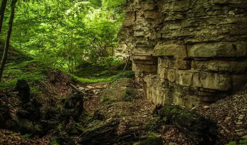 Rezerwat przyrody Bukowica: Odkryj jego piękno i unikalną faunę