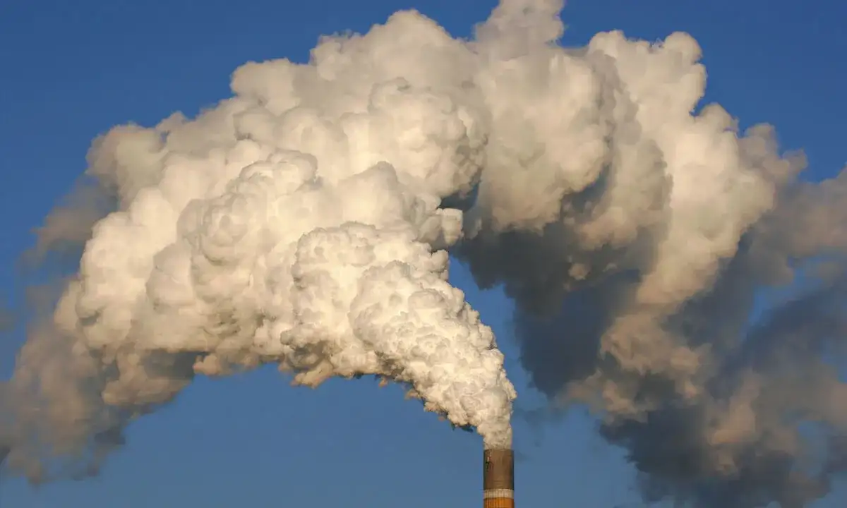 Smog czym jest spowodowany i jak wpływa na nasze zdrowie