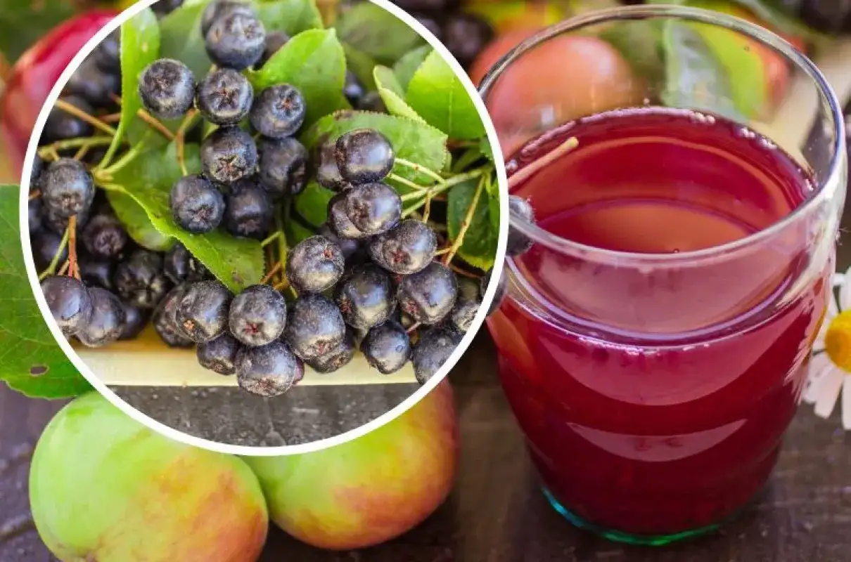 Ile cukru dodać do soku z aronii z sokownika? Proporcje i porady dla idealnego smaku