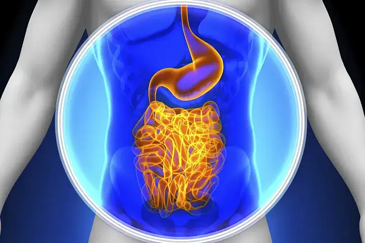 Życie bez jelita cienkiego: wyzwania i możliwości leczenia