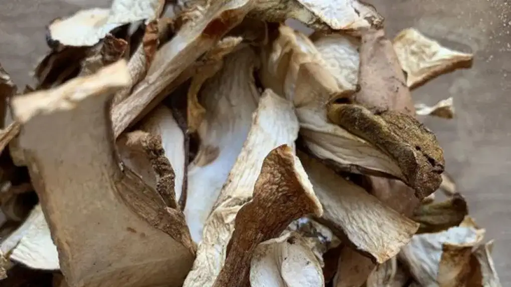 Grzyby w zamrażarce: ile wytrzymają? Sprawdź, zanim wyrzucisz!