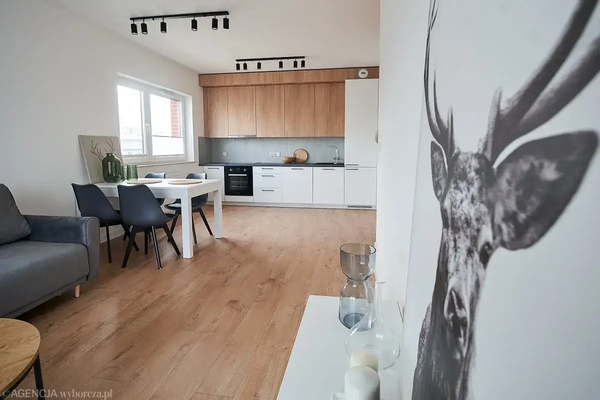 Wynajem od spółdzielni: jak znaleźć i uniknąć pułapek?