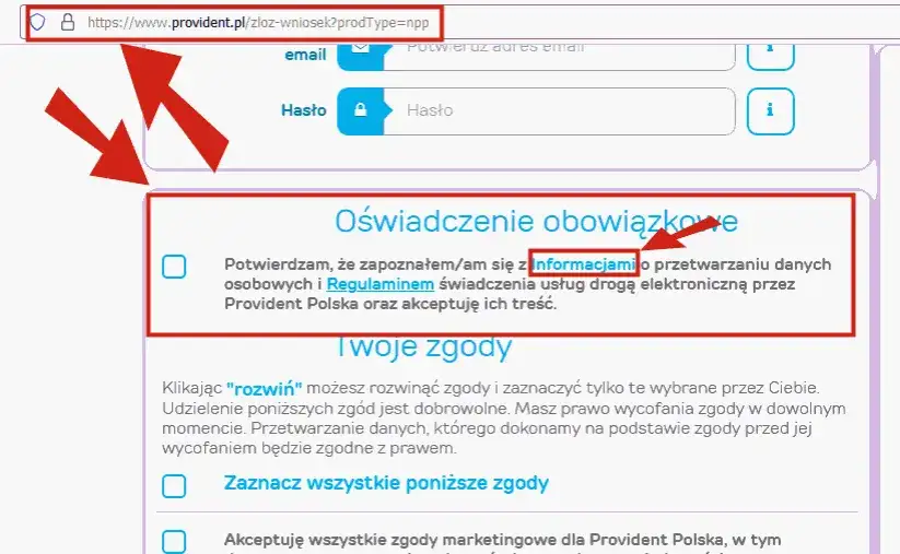 Provident sprawdza BIK? Dowiedz się, jakie masz szanse