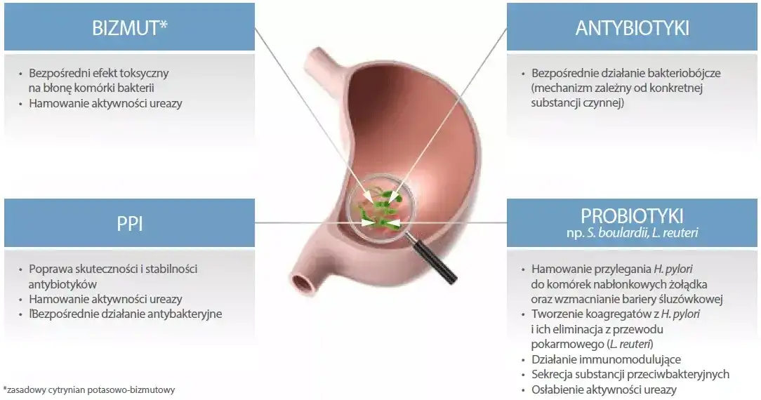 Leki na Helicobacter pylori: Skuteczna terapia i schematy leczenia