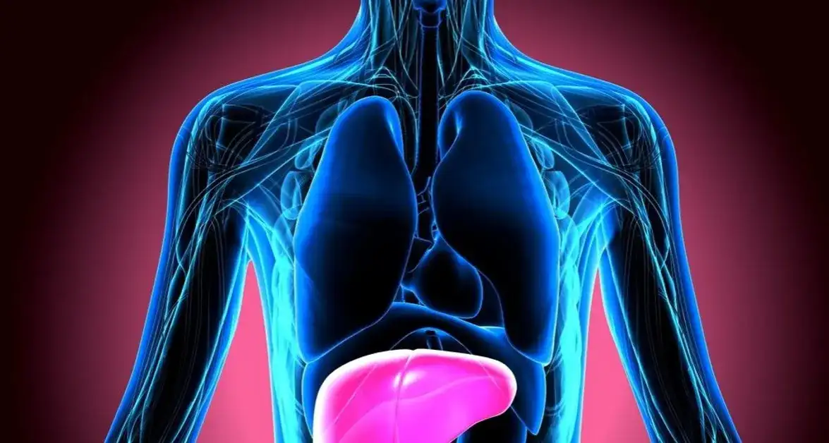 Jakie są objawy bólu wątroby i co mogą oznaczać dla zdrowia