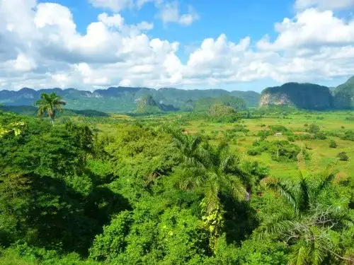 Czy na Kubie jest bezpiecznie? Poznaj ryzyka i zabezpieczenia dla turystów