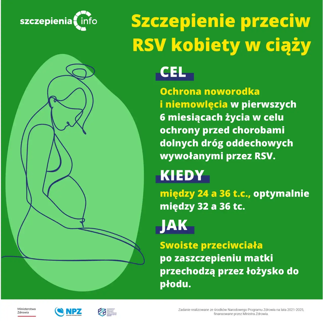 Czy można szczepić sukę w ciąży? Ważne informacje i zalecenia