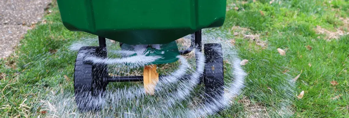 Ile nawozu na m2 trawnika? Poznaj właściwe dawkowanie