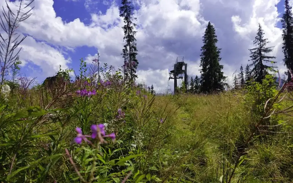Butorowy Wierch Kościelisko: Pieszo na szczyt? Widoki lepsze niż z Gubałówki!