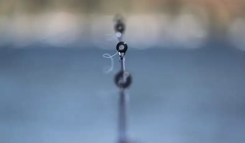 Die beste Angelschnur für Karpfen: So vermeiden Sie teure Fehler