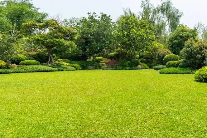 Kiedy nawozić trawnik na wiosnę? Uniknij błędów i ciesz się pięknym trawnikiem!