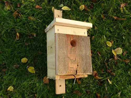 Jak łatwo zbudować domek dla ptaków DIY i cieszyć się naturą