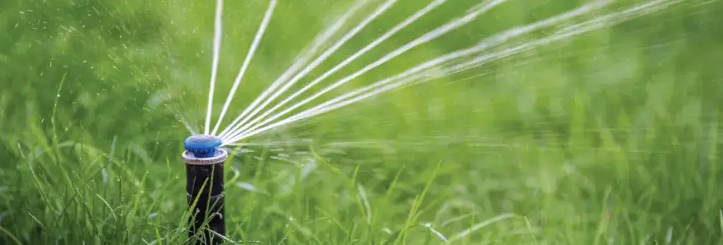 Jak zrobić domowy zraszacz, który zaoszczędzi czas i wodę