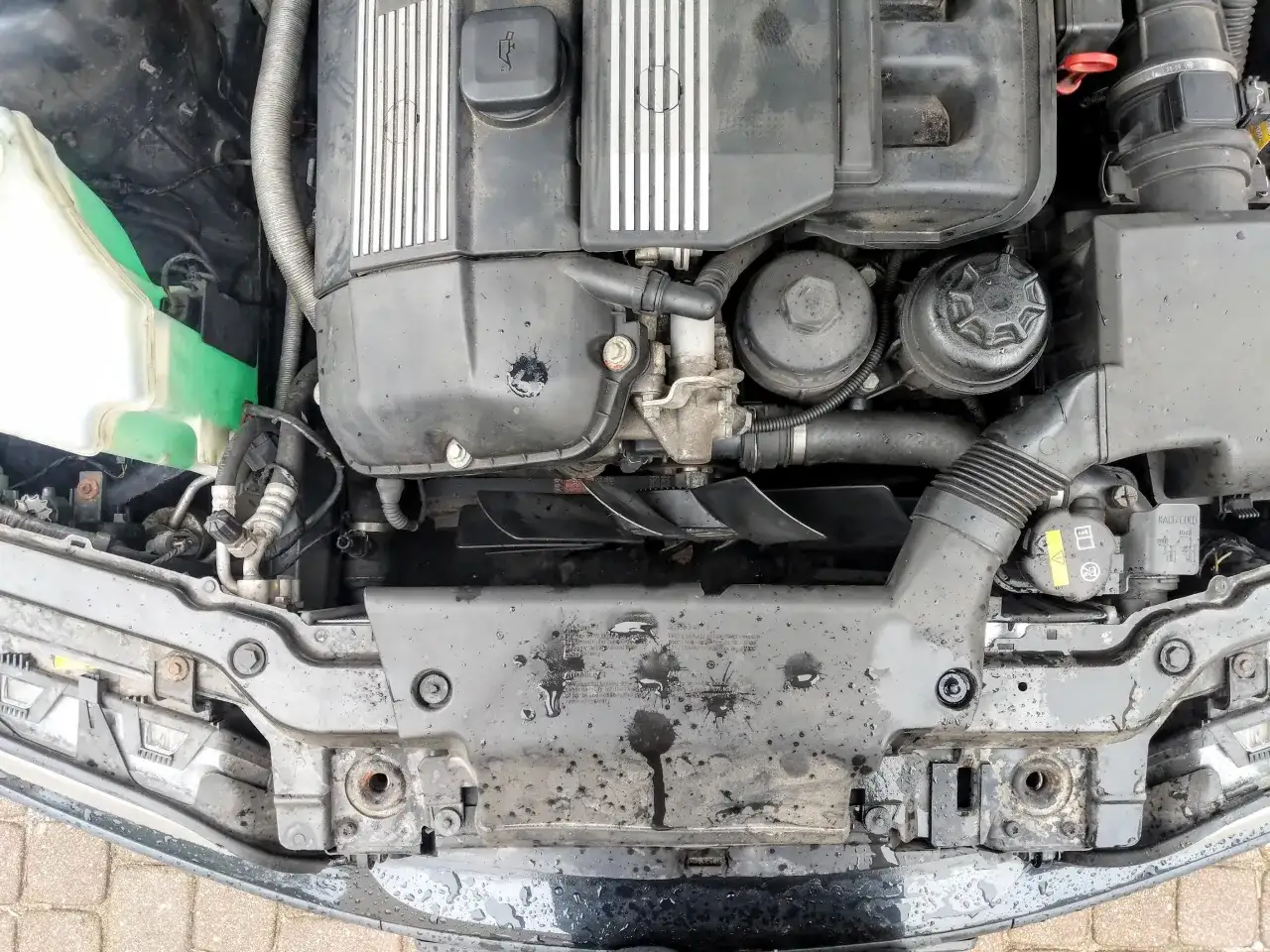 Widok komory silnika BMW E46 z widocznym wentylatorem chłodnicy.