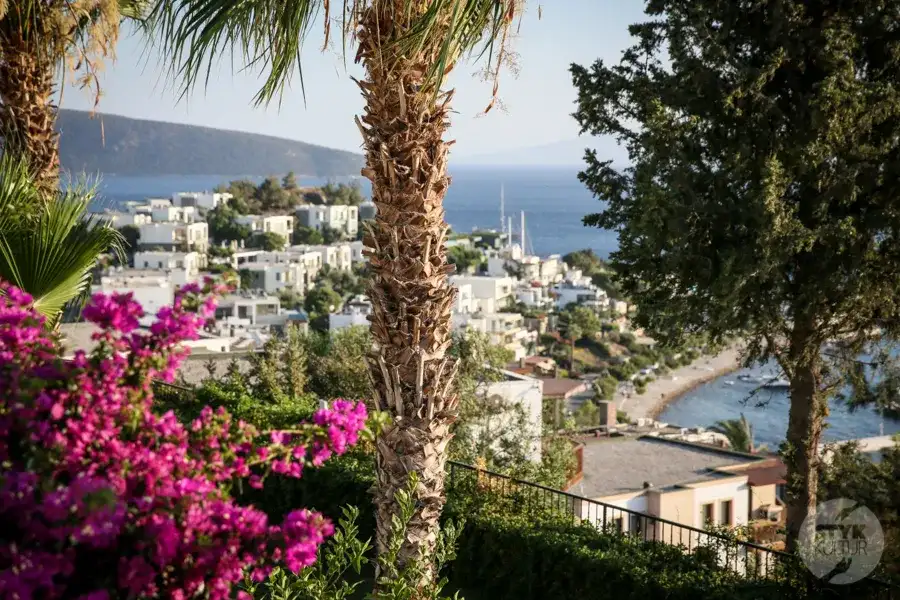 Turcja: Czy można wychodzić z hotelu? Przewodnik po bezpieczeństwie