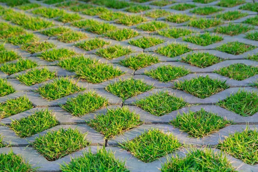 Jak zrobić podjazd z płyt ażurowych - uniknij najczęstszych błędów