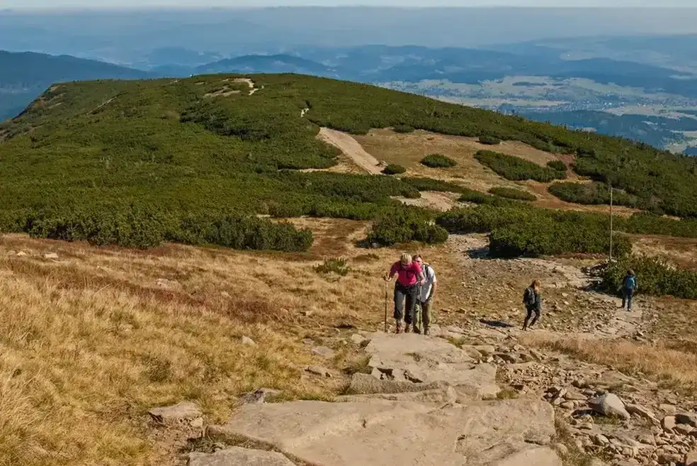 Babia Góra szlak czerwony ile km? Sprawdź jego trudność i długość