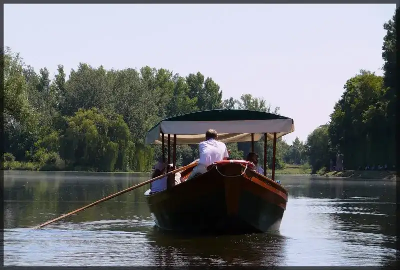 Jezioro Wilanowskie: Tajemnice przyrody i atrakcje w Warszawie
