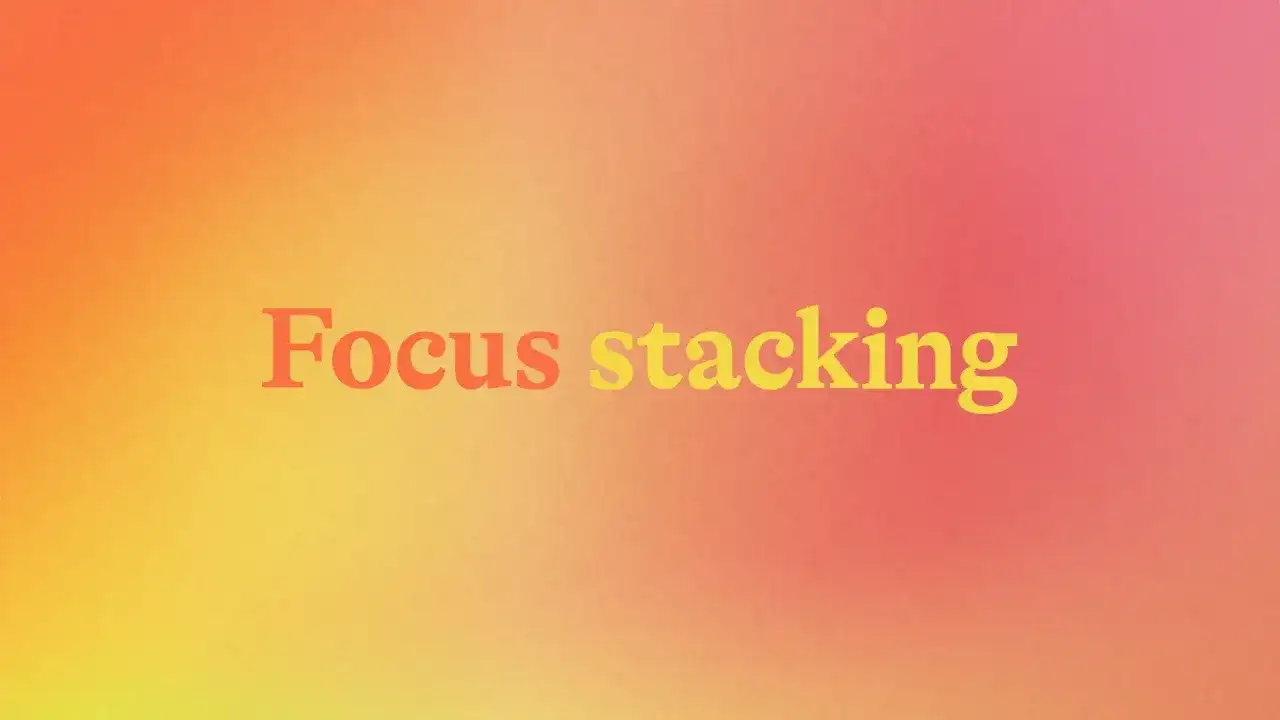 Napis "Focus stacking" na tle gradientu od pomarańczowego do różowego. Technika ta pozwala uzyskać ostrość na całym kadrze.