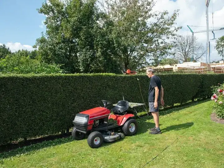 Jaki traktorek kosiarka wybrać, aby nie żałować wyboru?