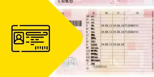 Prawo jazdy na busa: Ile miejsc możesz przewieźć legalnie?