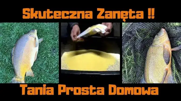 Domowa i gotowa zanęta na karasia: przepisy i sekrety sukcesu