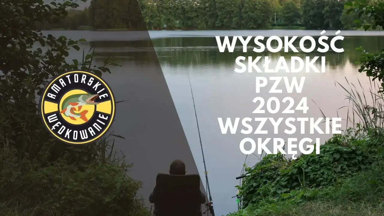 Ile kosztuje zezwolenie wędkarskie? Sprawdź ceny i różnice regionalne