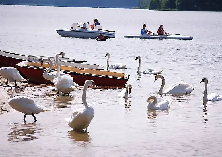 Jezioro Blizno Kujawsko Pomorskie - raj dla wędkarzy i turystów