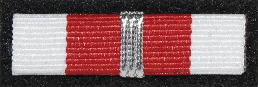 Baretki polskie: fascynujące symbole zasług wojskowych