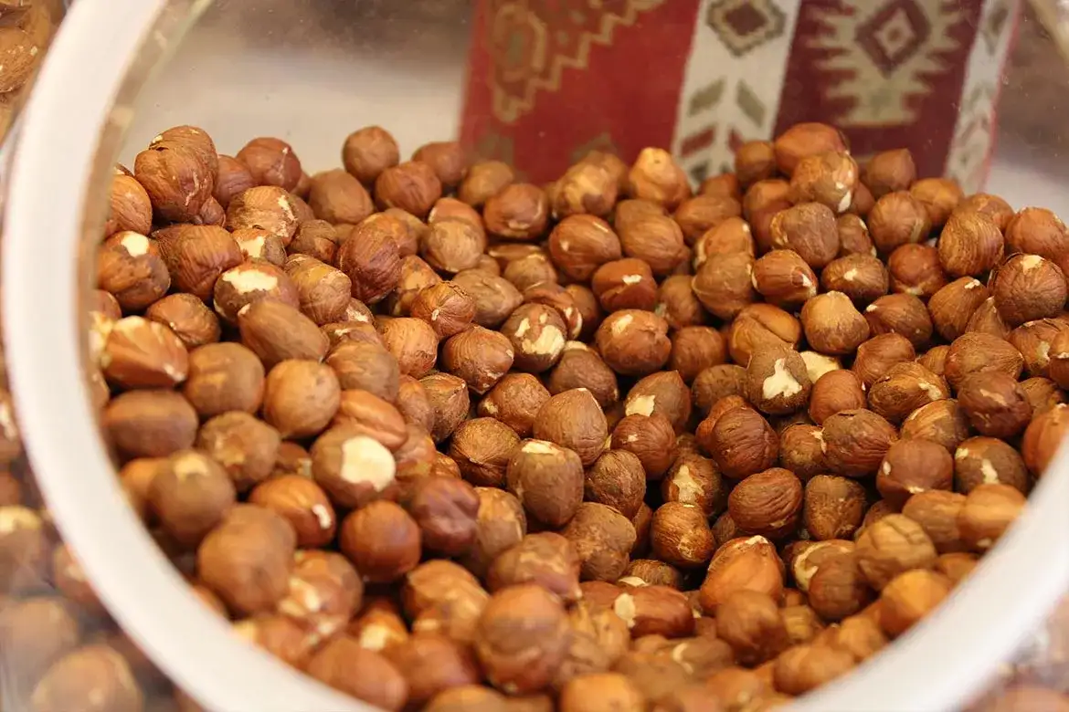 Czy pies może jeść orzechy laskowe? Sprawdź zagrożenia i alternatywy