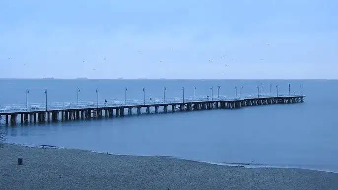 "Żółte kalendarze": Czy znasz morza brzeg? Tekst, historia, symbolika