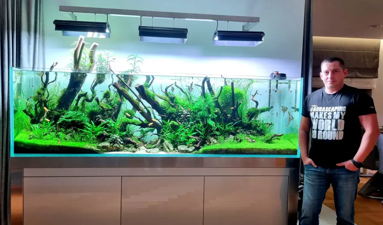 Mężczyzna stoi obok bujnego, zielonego akwarium z rybkami i korzeniami.