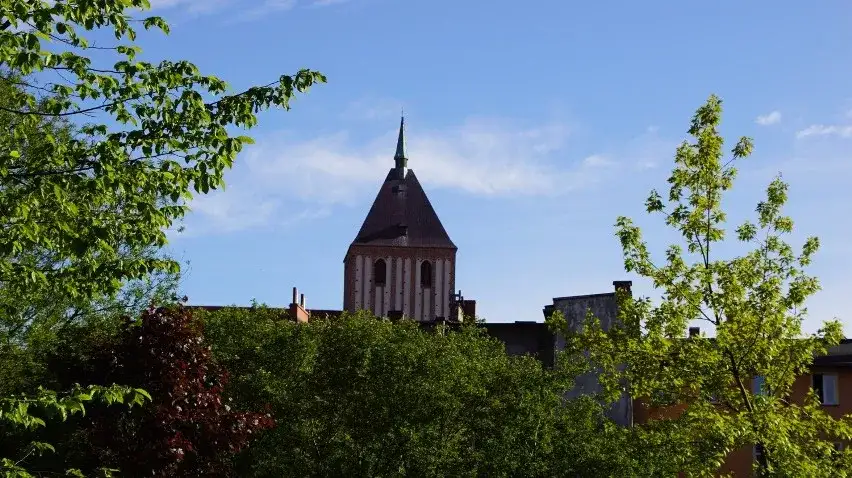 Najlepsze atrakcje w Sławnie, które musisz zobaczyć podczas wizyty