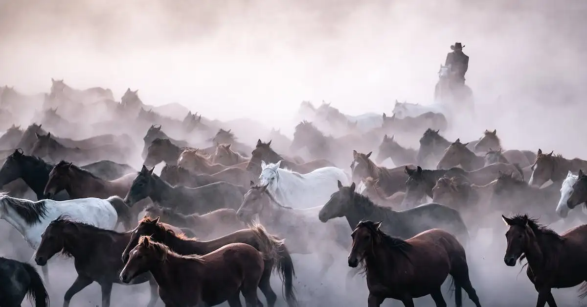 Jak wypada nowy film akcji Flash z 2023 roku?