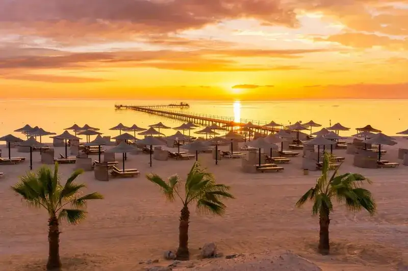 Gdzie leży Marsa Alam? Odkryj jej lokalizację i bliskie atrakcje