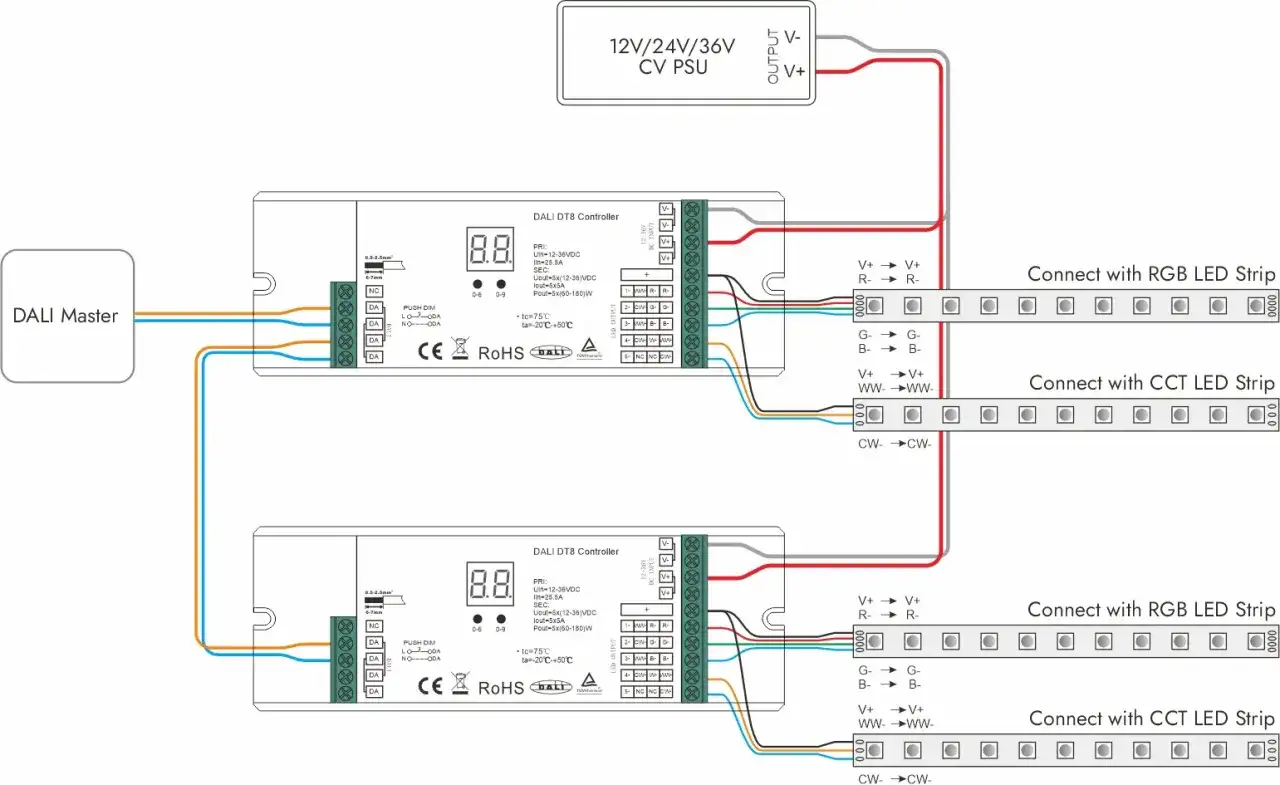 Schemat połączenia DALI DT8 Controller z zasilaczem i taśmami LED RGB/CCT.