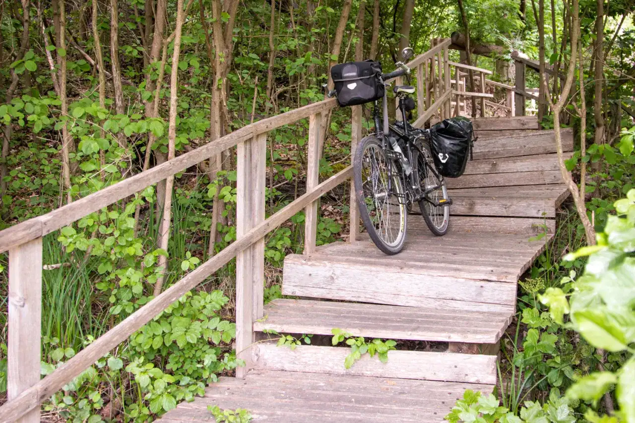 Trasa rowerowa wzdłuż Odry – odkryj piękno i atrakcje szlaku