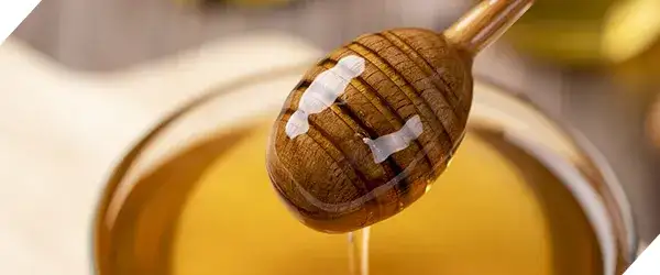 Gdzie kupić prawdziwy miód w Warszawie - najlepsze miejsca i oferty