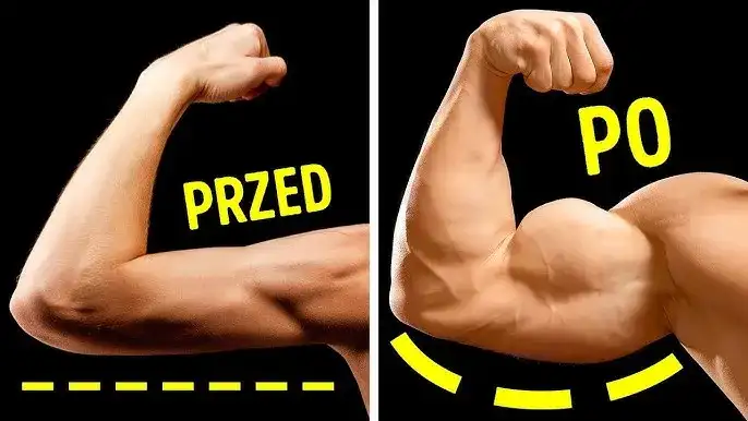 Chcesz większe bicepsy? Poznaj sekrety efektywnego treningu!