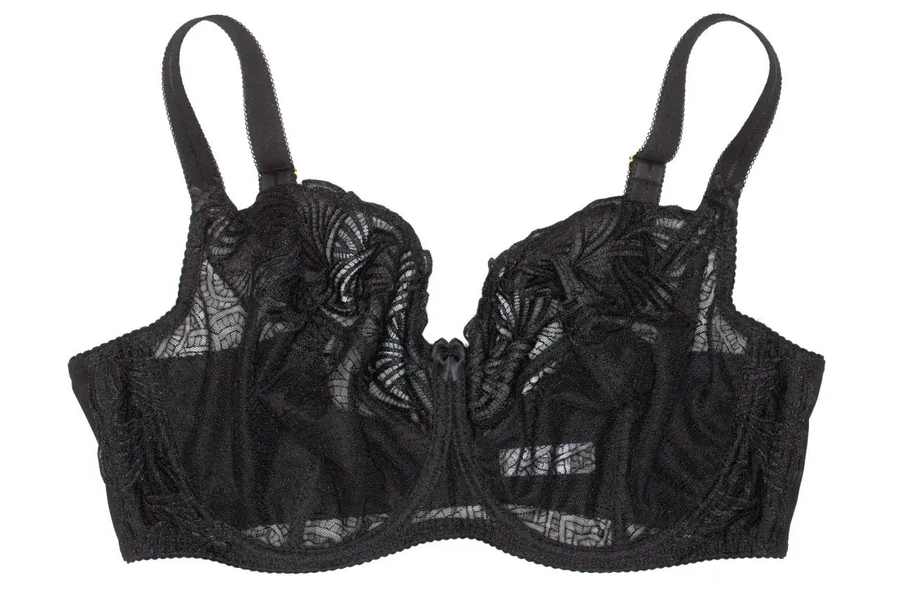 Czarny, koronkowy biustonosz Ewa Bien z ozdobnym wzorem i kokardką.