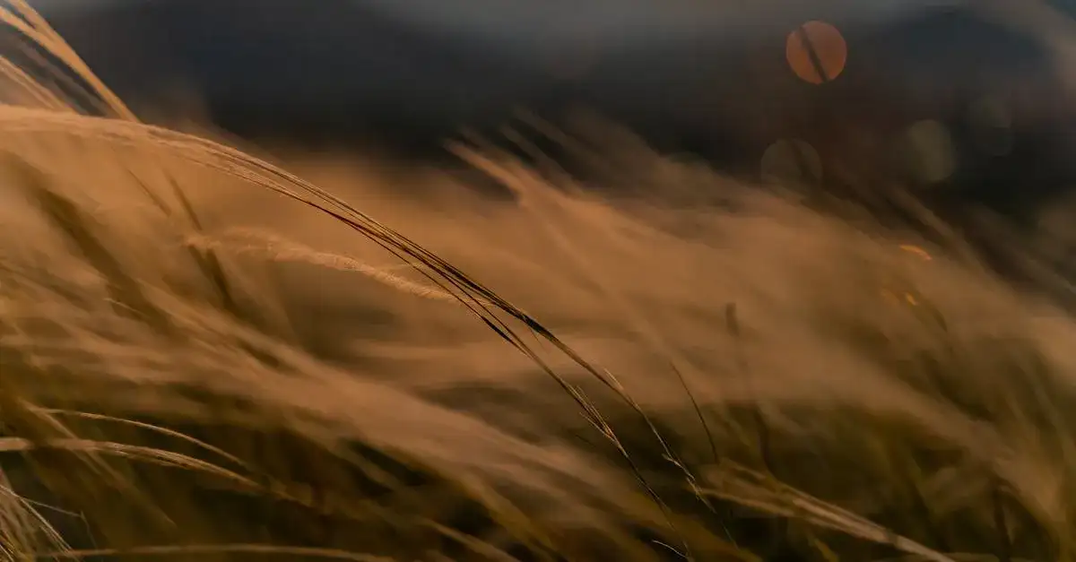 Czy gady przetrwałyby apokalipsę zombie jak w TWD?