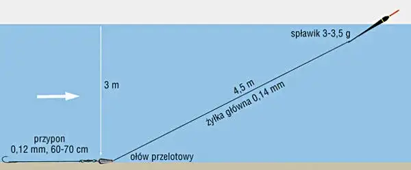 Wędka bolonka do czego służy – skuteczne metody łowienia ryb