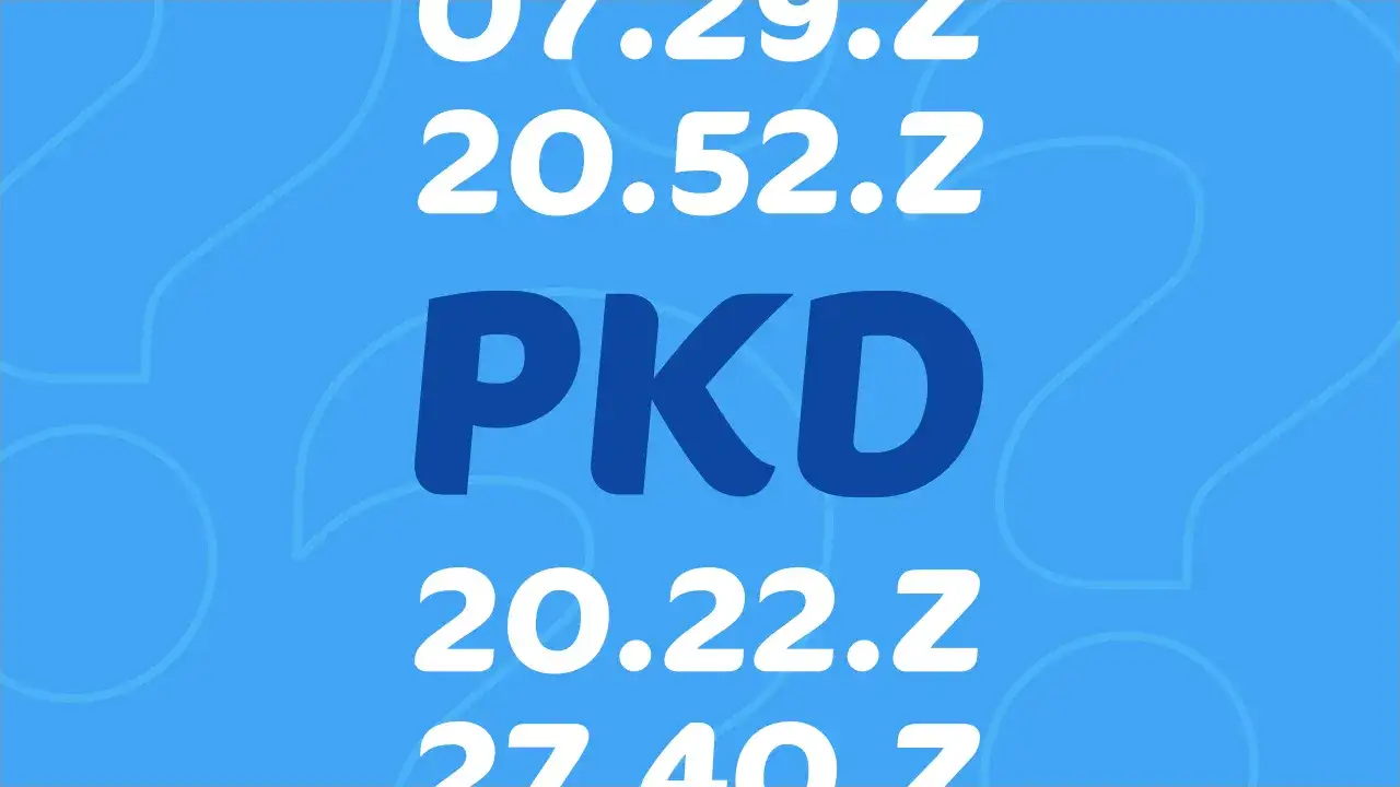 Jakie PKD dla fundacji? Kluczowe kody, które musisz znać