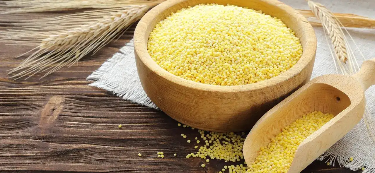 Ile kalorii ma kasza jaglana: wszystko o kaloryczności i wartościach odżywczych